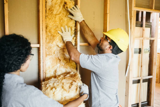 Types of Insulation We Offer in Marina Del Rey, CA